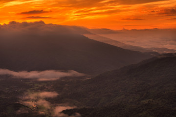 Fototapeta na wymiar mountains under mist in the morning in Phu Phaya Pho, Phrae Province, Thailand