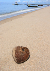 coconut on the beach
