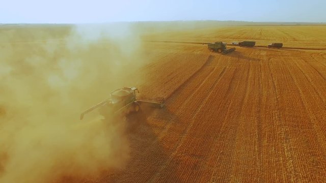 Aerial view of gathering the ripe wheat crop in 4K
