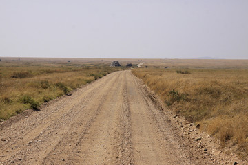 Sandpiste im Nationalpark, Kenia, Ostafrika