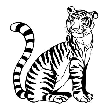 Hand drawn Sitting tiger-Vector Illustration