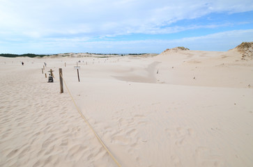 Sand dunes in the Slowinski National Park in Poland - obrazy, fototapety, plakaty