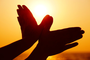 Wings silhouette. Wings gestured with hands. Sunset time on the beach. Freedom sign and symbol....