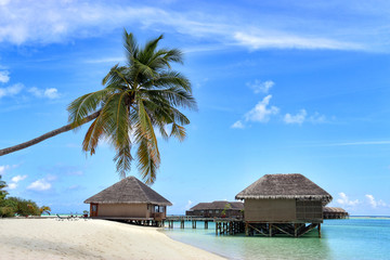 maldives
