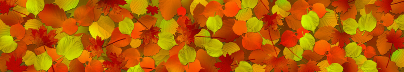 Naklejka na ściany i meble Autumn leaves, autumn background, banner