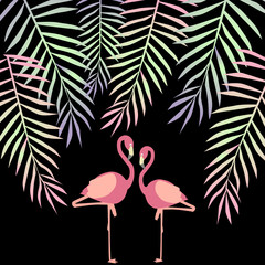 flamingo  illustration
