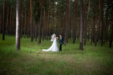 Fototapeta premium The bride and groom on a walk in the forest