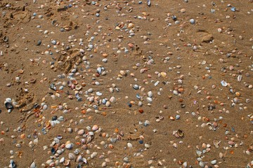 Strandmuster
