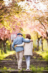Beautiful senior couple in love outside in spring nature. - obrazy, fototapety, plakaty