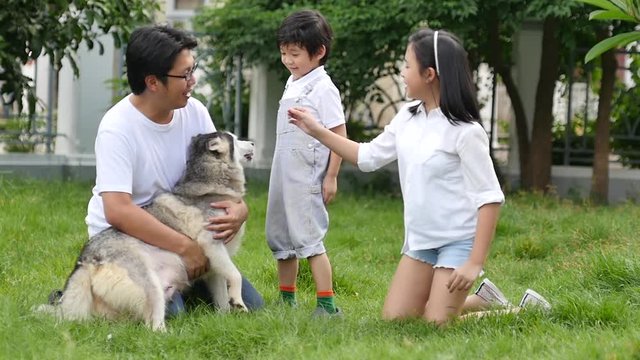 Happy Asian family playing with siberian husky dog in the garden slow motion 