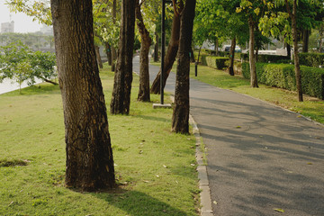 Running trail in the garden next to the pond