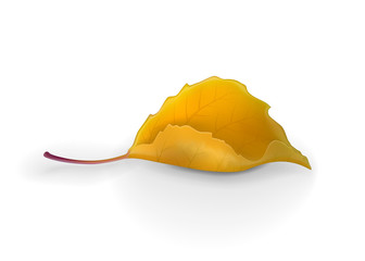 Naklejka premium Beautiful autumn yellow cartoon leaf