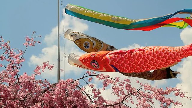 Carp kite flying (koinobori).