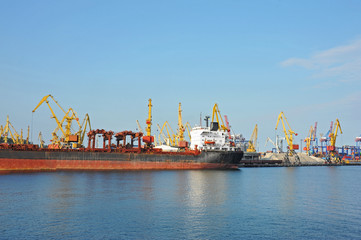Fototapeta premium Bulk cargo ship under port crane