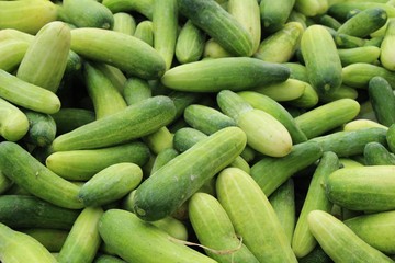 Fresh cucumbers for cooking in the market