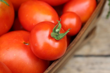 Ripe tomatoes in basket