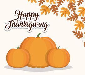 Pumpkin of happy thankgsgiving and autumn season theme Vector illustration