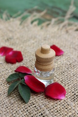 Rose oil and petals