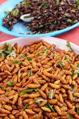 Fried silk worms delicious in street food