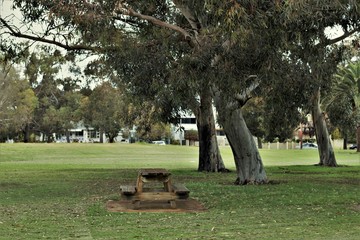 park table