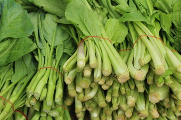 Fresh choy for cooking in the market