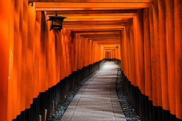 Red Tori Gate at Fushimi Inari, Kyoto