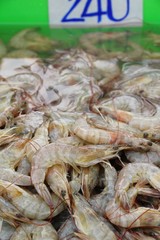 Fresh shrimp in the market