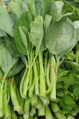 Fototapeta premium Fresh chinese kale in the market