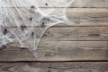 Halloween background with decorative creepy web and spiders on old wooden boards. Blank space for...