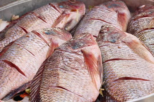Steamed fish with vegetable delicious in pot