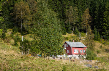 Small red farmhouse close to the forest