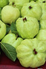 Guava fruit is delicious in the market