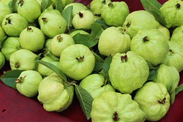 Guava fruit is delicious in the market