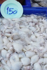 Fototapeta na wymiar Fresh squid for cooking in the market