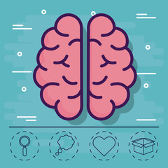 Brain and icon set of human organ and mind theme Vector illustration