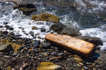 driftwood, washed up by the sea on a pebble beach