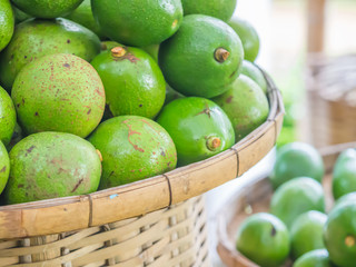 Closeup of avocado in the basket in the market.
