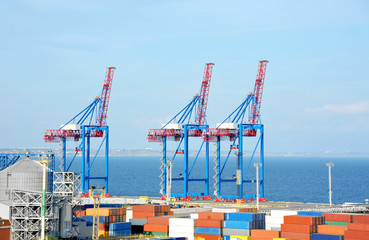 Port cargo crane and container