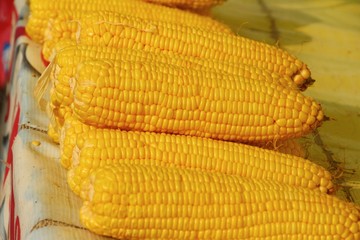 Corn boil is delicious in the market