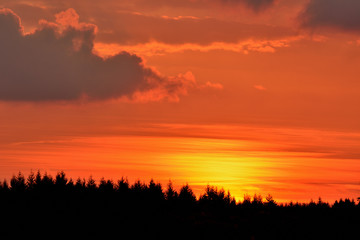 Sonnenuntergang über Baumkette