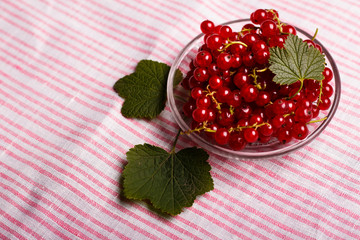 fresh red currant and jam on the rustic background