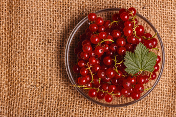 fresh red currant and jam on the rustic background