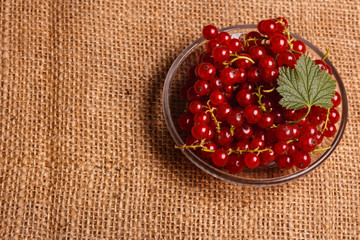 fresh red currant and jam on the rustic background