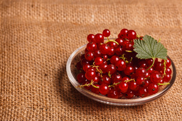 fresh red currant and jam on the rustic background