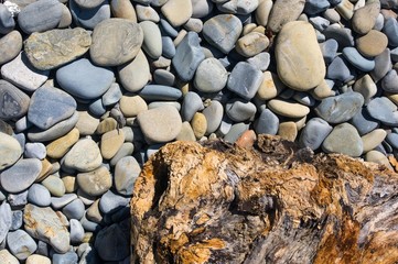 driftwood, washed up by the sea on a pebble beach