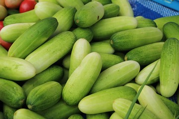 Fresh cucumbers for cooking in the market
