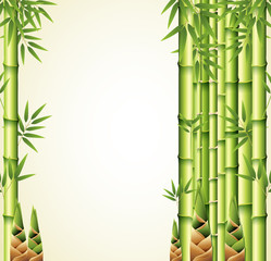 Background design with bamboo stems