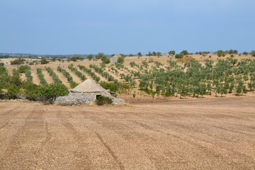 Puglia - campagna salentina