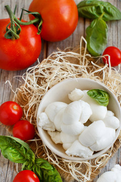 Italian cheese mozzarella nodini with tomatoes and herbs