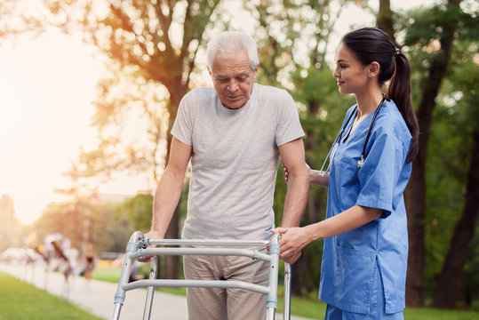 The old man walks through the park with the help of adult walkers. The nurse supports him